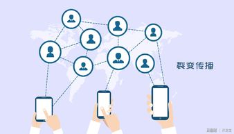 开发宝全面升级会员权益 为企业提供定制化专属软件外包服务